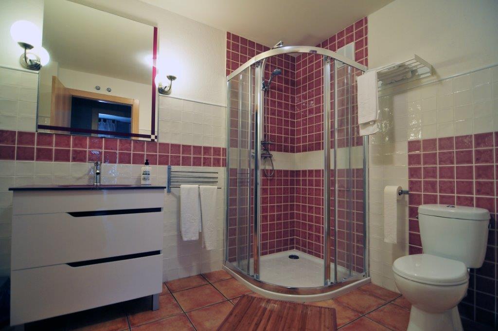 La Morada De San Millan Apartment ซานมีญัน เด ลาโกโกญา ห้อง รูปภาพ